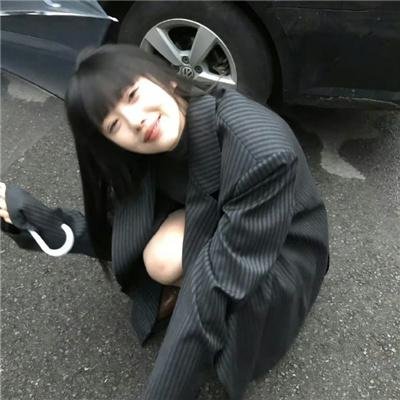 智叻狗仔队